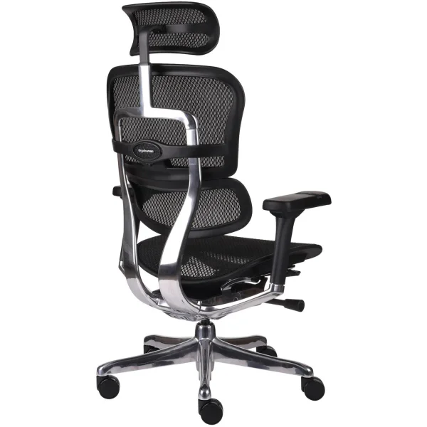 Ergohuman Elite 2