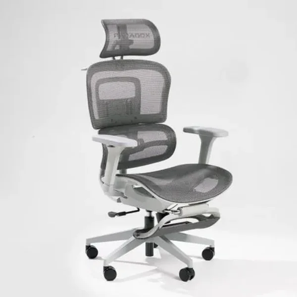 Paradox Ergo One